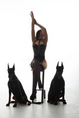 Миниатюра Индивидуалка Кристина Центр Фотография 